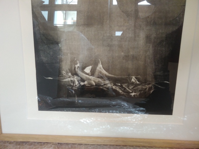 Untitled ( Suspense Series ) 2022   