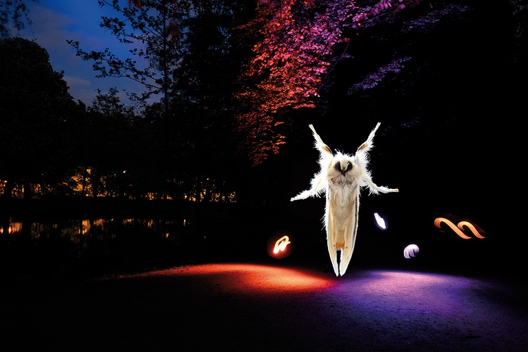 Insekten in Eimsbüttel